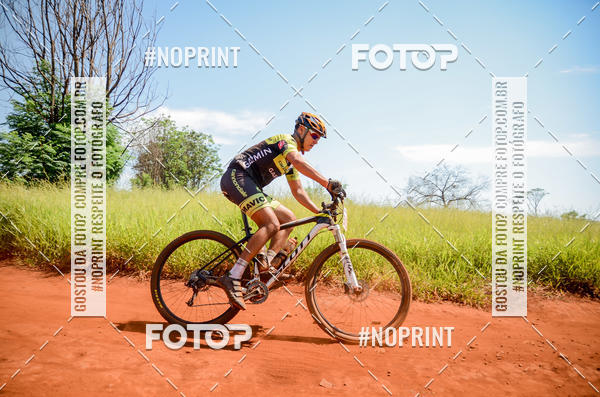 Buy your photos of the eventALIGA on Fotop