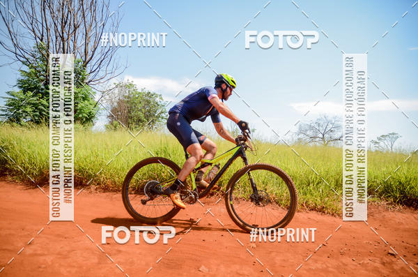 Buy your photos of the eventALIGA on Fotop