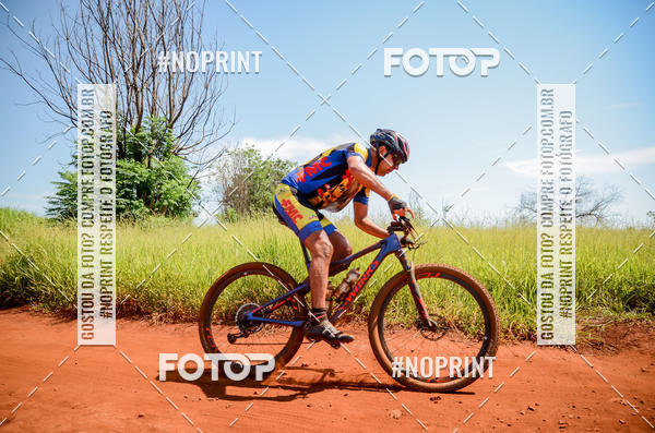 Buy your photos of the eventALIGA on Fotop