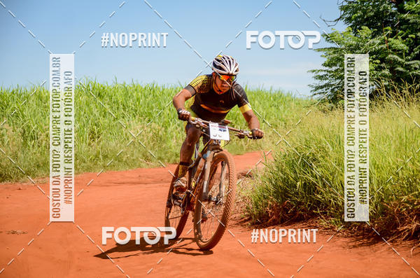 Buy your photos of the eventALIGA on Fotop