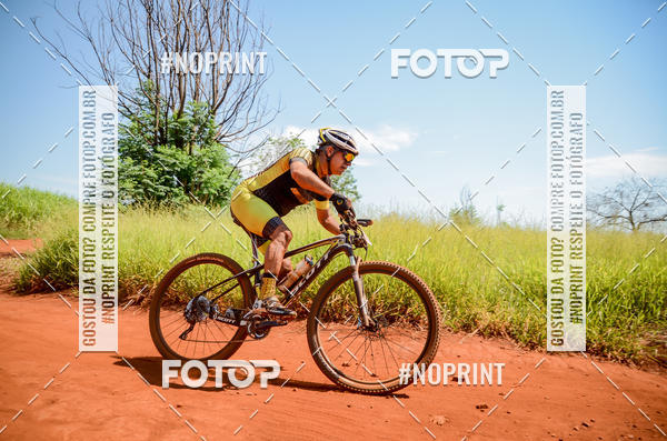 Buy your photos of the eventALIGA on Fotop