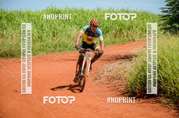 Buy your photos of the eventALIGA on Fotop