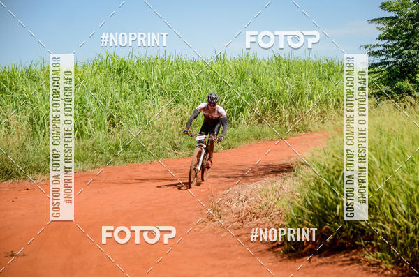 Buy your photos of the eventALIGA on Fotop