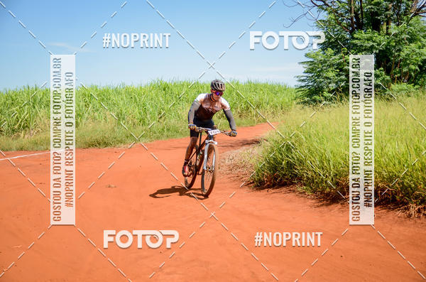 Buy your photos of the eventALIGA on Fotop