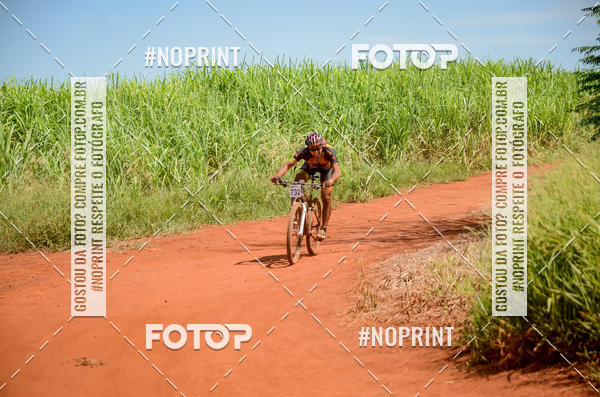 Buy your photos of the eventALIGA on Fotop