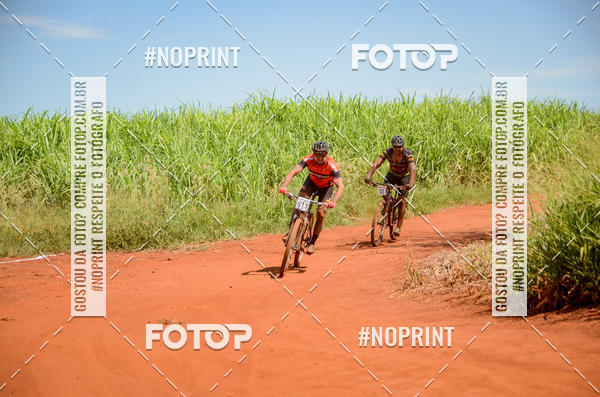 Buy your photos of the eventALIGA on Fotop