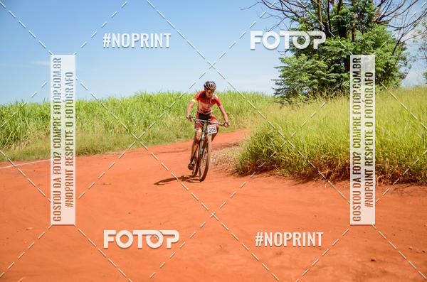 Buy your photos of the eventALIGA on Fotop