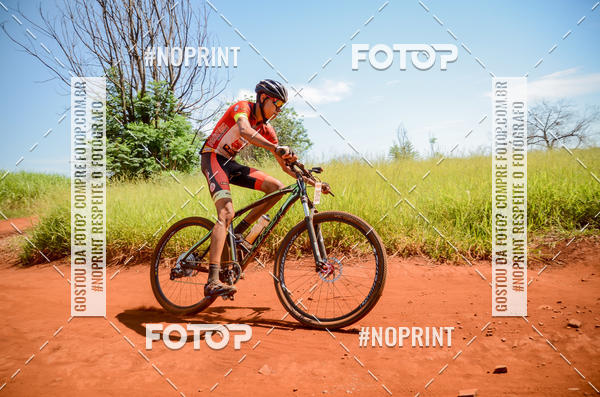 Buy your photos of the eventALIGA on Fotop