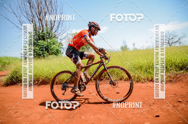 Buy your photos of the eventALIGA on Fotop