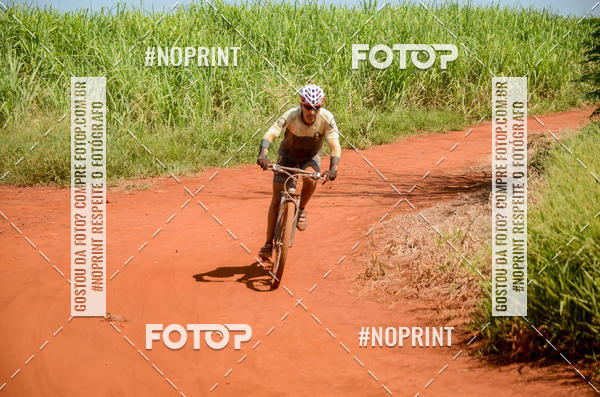 Buy your photos of the eventALIGA on Fotop