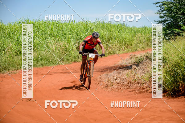 Buy your photos of the eventALIGA on Fotop