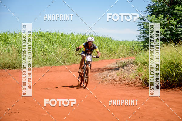 Buy your photos of the eventALIGA on Fotop