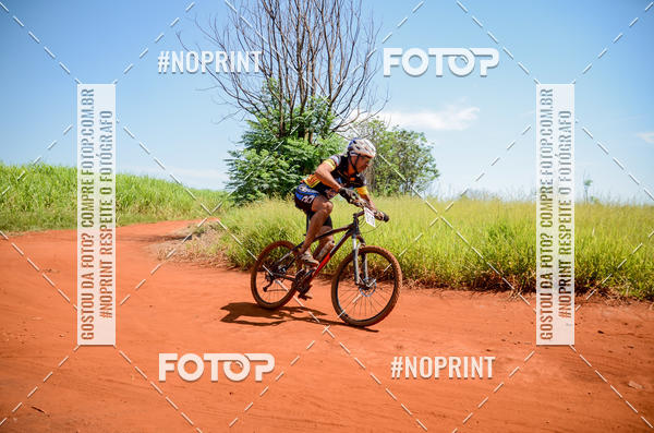 Buy your photos of the eventALIGA on Fotop