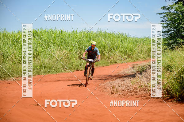 Buy your photos of the eventALIGA on Fotop