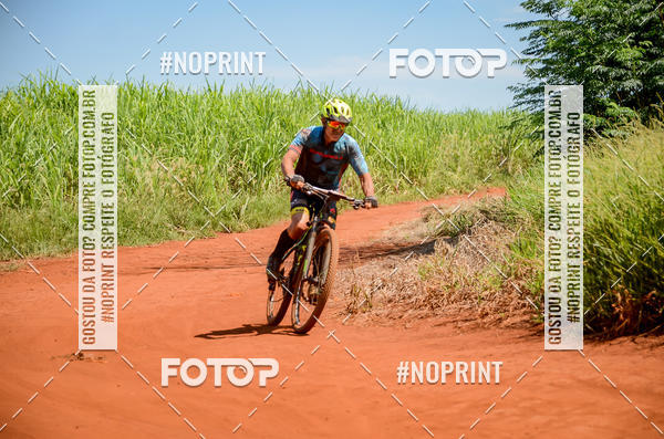 Buy your photos of the eventALIGA on Fotop