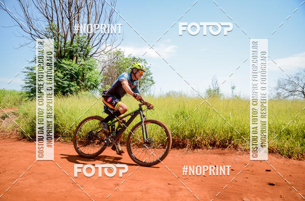 Buy your photos of the eventALIGA on Fotop