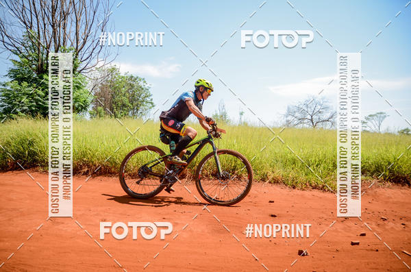 Buy your photos of the eventALIGA on Fotop