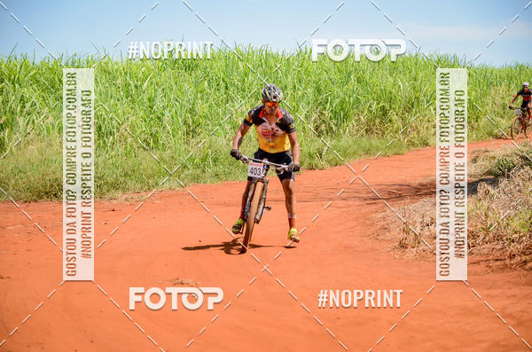 Buy your photos of the eventALIGA on Fotop