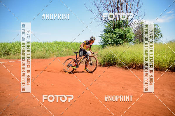 Buy your photos of the eventALIGA on Fotop