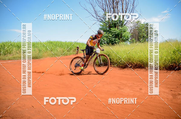 Buy your photos of the eventALIGA on Fotop