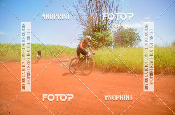 Buy your photos of the eventALIGA on Fotop