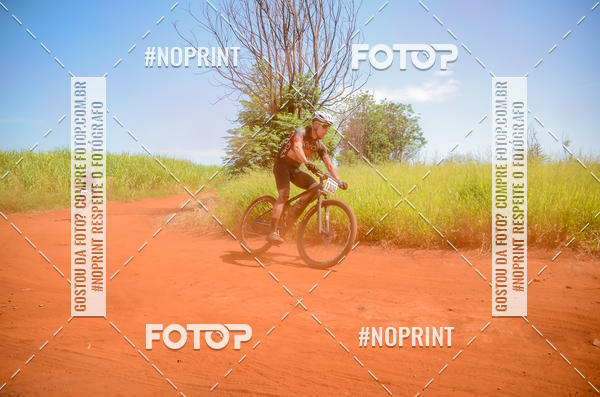 Buy your photos of the eventALIGA on Fotop