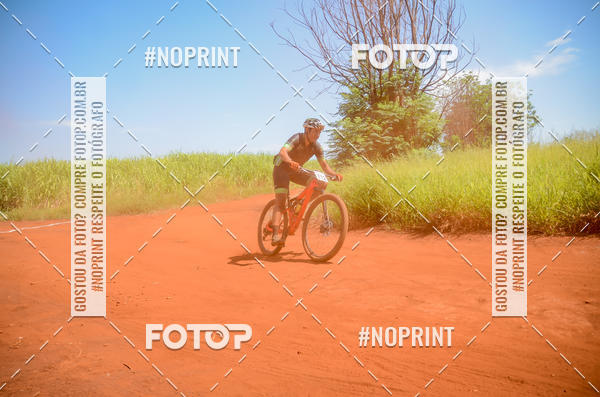 Buy your photos of the eventALIGA on Fotop