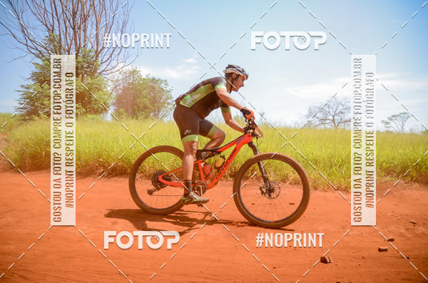 Buy your photos of the eventALIGA on Fotop