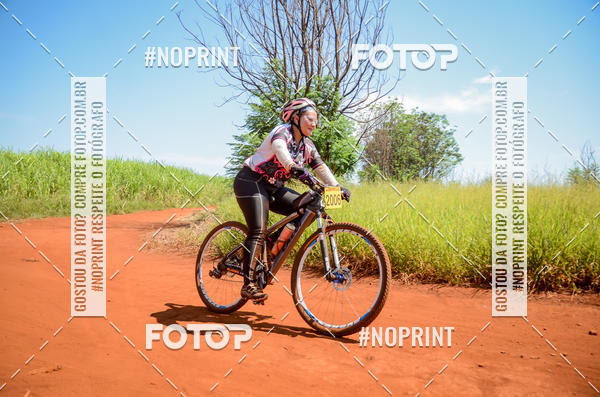 Buy your photos of the eventALIGA on Fotop