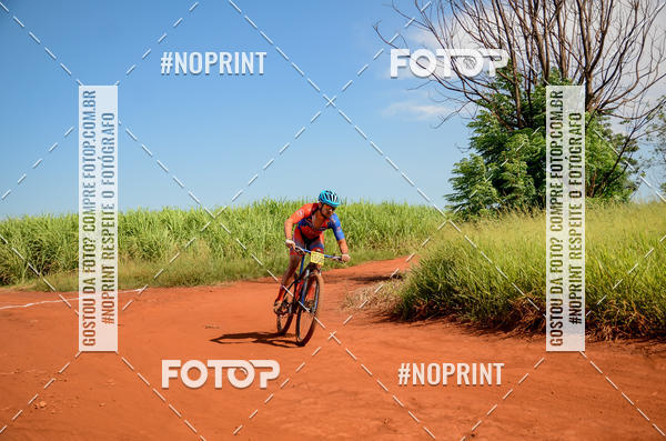 Buy your photos of the eventALIGA on Fotop