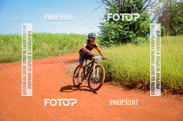 Buy your photos of the eventALIGA on Fotop