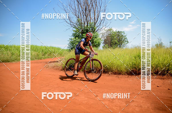 Buy your photos of the eventALIGA on Fotop