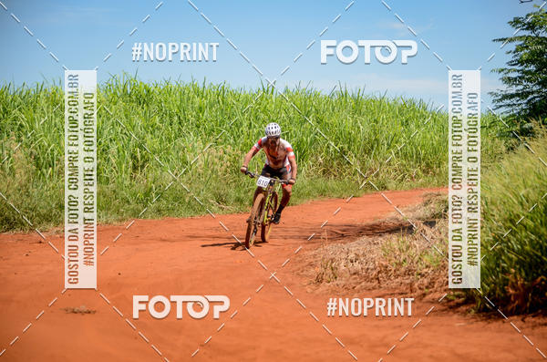 Buy your photos of the eventALIGA on Fotop