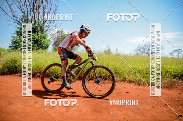 Buy your photos of the eventALIGA on Fotop