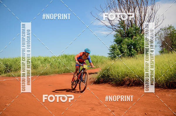 Buy your photos of the eventALIGA on Fotop