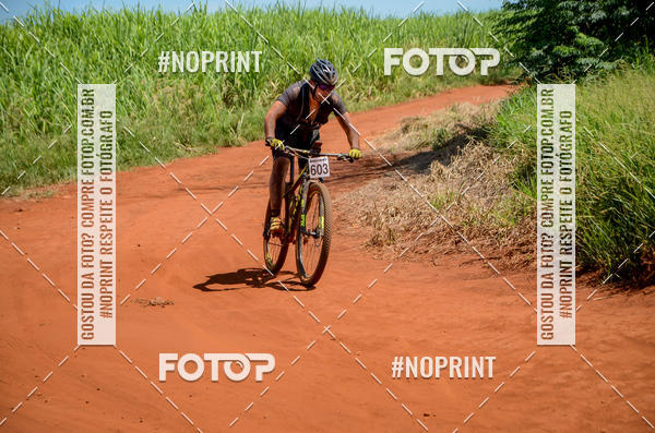 Buy your photos of the eventALIGA on Fotop