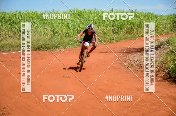 Buy your photos of the eventALIGA on Fotop