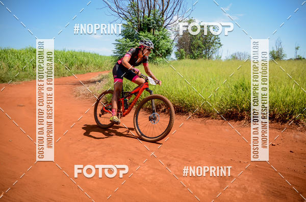 Buy your photos of the eventALIGA on Fotop