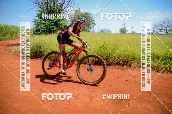 Buy your photos of the eventALIGA on Fotop