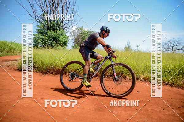 Buy your photos of the eventALIGA on Fotop