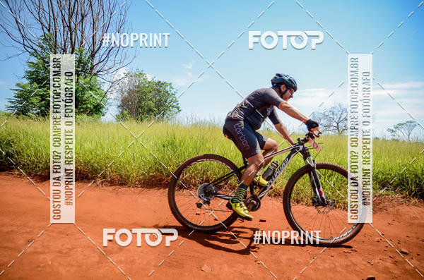 Buy your photos of the eventALIGA on Fotop