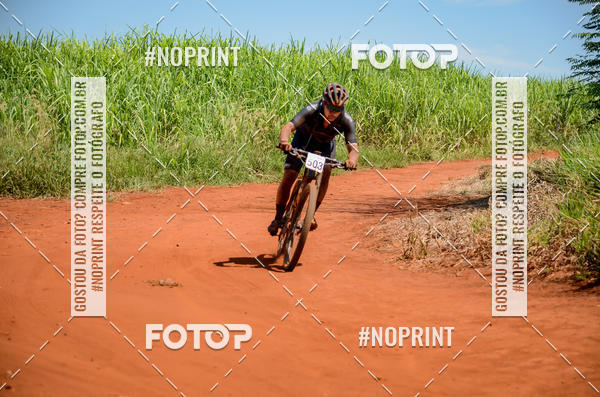 Buy your photos of the eventALIGA on Fotop