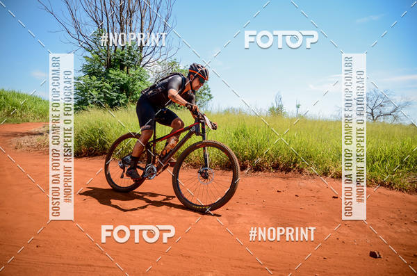 Buy your photos of the eventALIGA on Fotop