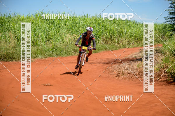 Buy your photos of the eventALIGA on Fotop