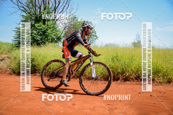 Buy your photos of the eventALIGA on Fotop