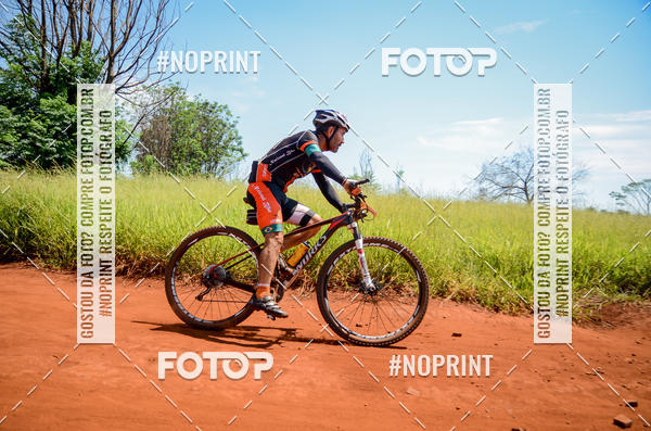 Buy your photos of the eventALIGA on Fotop