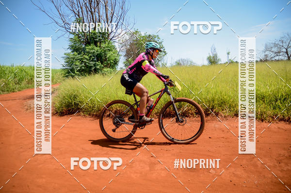 Buy your photos of the eventALIGA on Fotop