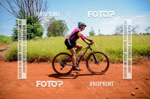 Buy your photos of the eventALIGA on Fotop