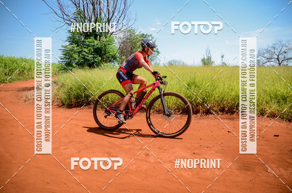 Buy your photos of the eventALIGA on Fotop