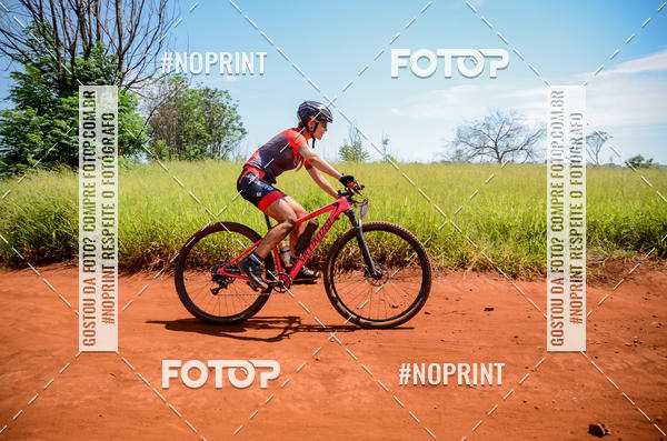 Buy your photos of the eventALIGA on Fotop